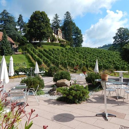 Wein Lodge Durbach - Gruppenhaus Weingut Neveu Exterior photo